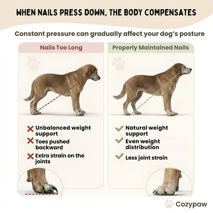 Cozypaw™ | Stress-Free Nail Care Board